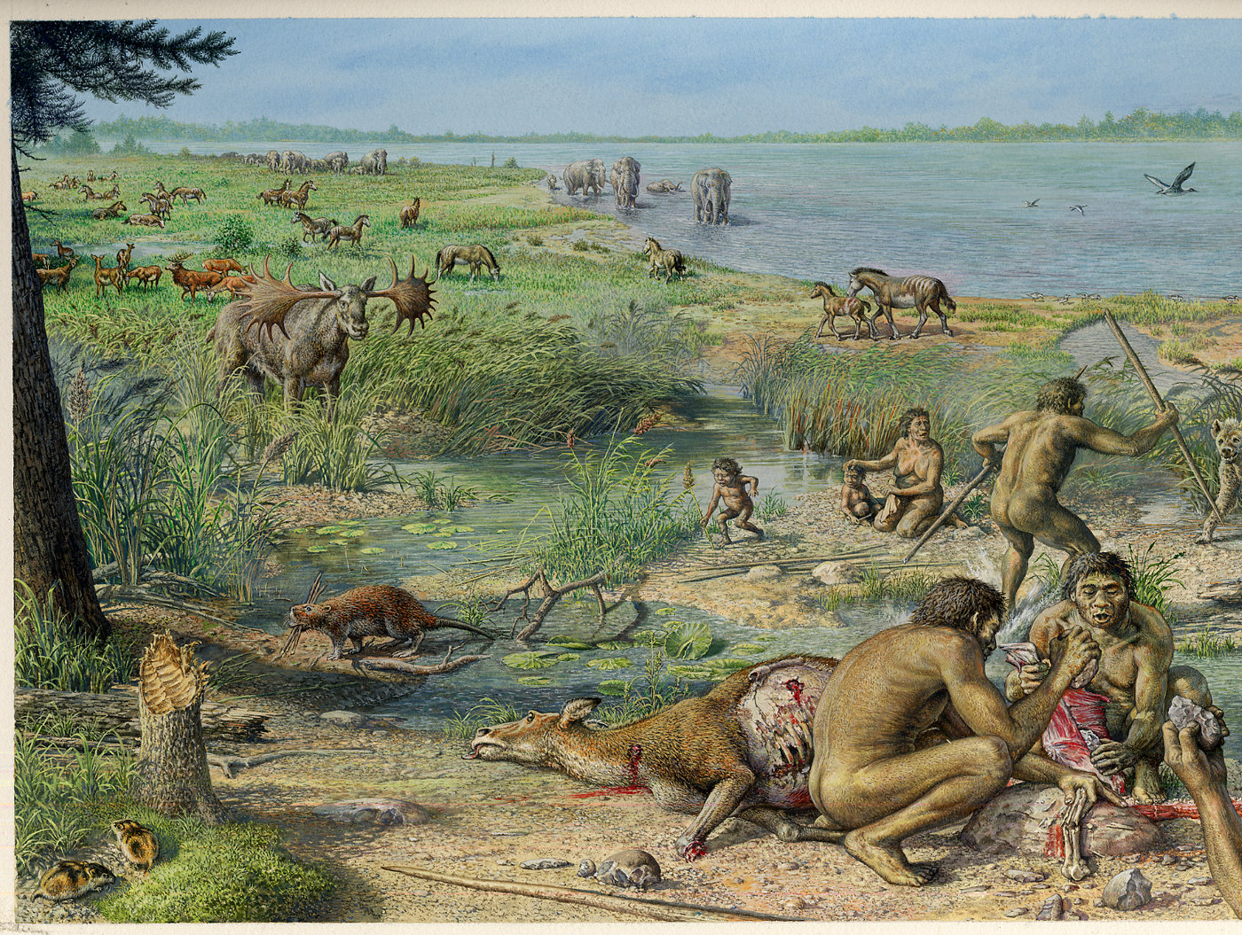 Голоценовая эпоха хомосапиенс